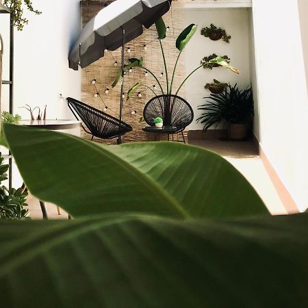 Apartamentos Elite - Art Collection - Frida Меріда Екстер'єр фото